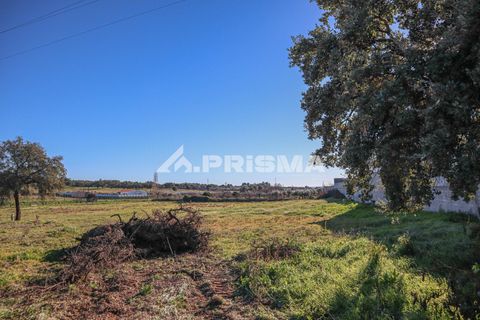 Helårsgrund i Castelo Branco, Castelo Branco, Castelo Branco - € 165.000 | Ref: PP4286 - foto 8