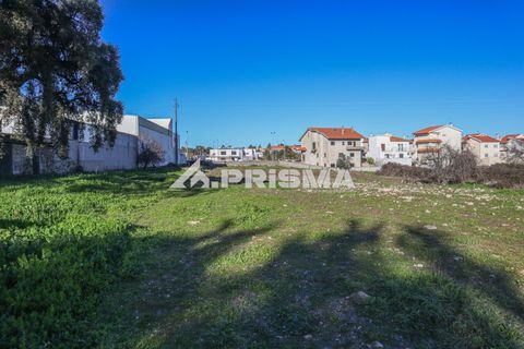 Helårsgrund i Castelo Branco, Castelo Branco, Castelo Branco - € 165.000 | Ref: PP4286 - foto 9