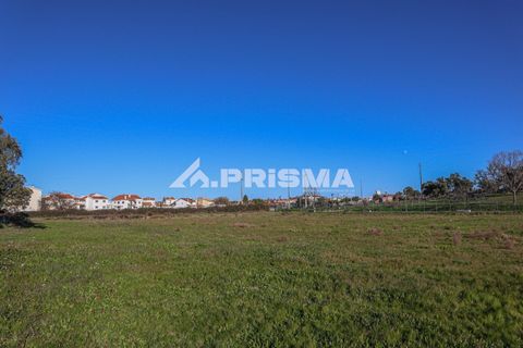 Helårsgrund i Castelo Branco, Castelo Branco, Castelo Branco - € 165.000 | Ref: PP4286 - foto 10