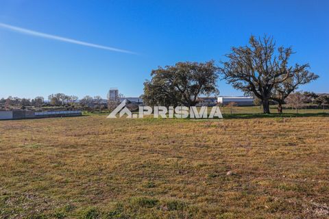 Helårsgrund i Castelo Branco, Castelo Branco, Castelo Branco - € 165.000 | Ref: PP4286 - foto 5