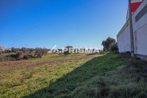 Helårsgrund i Castelo Branco, Castelo Branco, Castelo Branco - € 165.000 | Ref: PP4286 - foto 11
