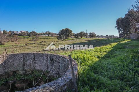 Helårsgrund i Castelo Branco, Castelo Branco, Castelo Branco - € 165.000 | Ref: PP4286 - foto 2
