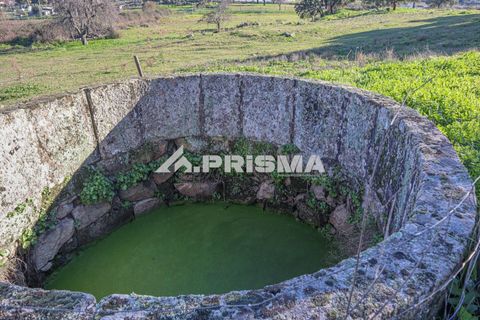 Helårsgrund i Castelo Branco, Castelo Branco, Castelo Branco - € 165.000 | Ref: PP4286 - foto 12