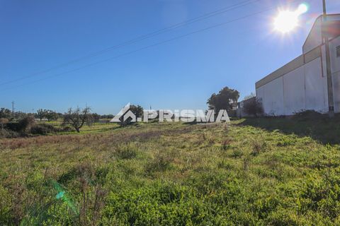 Helårsgrund i Castelo Branco, Castelo Branco, Castelo Branco - € 165.000 | Ref: PP4286 - foto 13