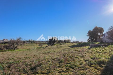 Helårsgrund i Castelo Branco, Castelo Branco, Castelo Branco - € 165.000 | Ref: PP4286 - foto 4