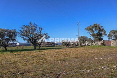Helårsgrund i Castelo Branco, Castelo Branco, Castelo Branco - € 165.000 | Ref: PP4286 - foto 14