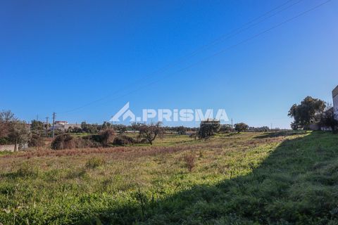 Helårsgrund i Castelo Branco, Castelo Branco, Castelo Branco - € 165.000 | Ref: PP4286 - foto 15