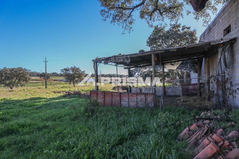 Helårsgrund i Castelo Branco, Castelo Branco, Castelo Branco - € 165.000 | Ref: PP4286 - foto 16