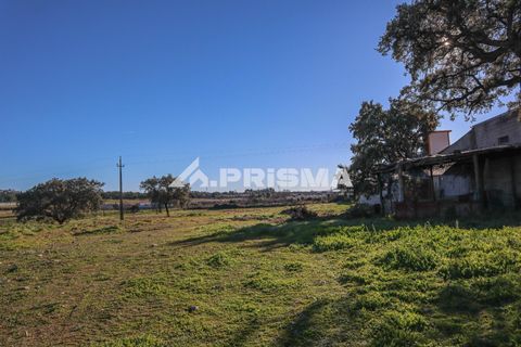 Helårsgrund i Castelo Branco, Castelo Branco, Castelo Branco - € 165.000 | Ref: PP4286 - foto 17