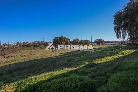 Helårsgrund i Castelo Branco, Castelo Branco, Castelo Branco - € 165.000 | Ref: PP4286 - foto 18