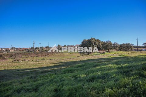 Helårsgrund i Castelo Branco, Castelo Branco, Castelo Branco - € 165.000 | Ref: PP4286 - foto 20