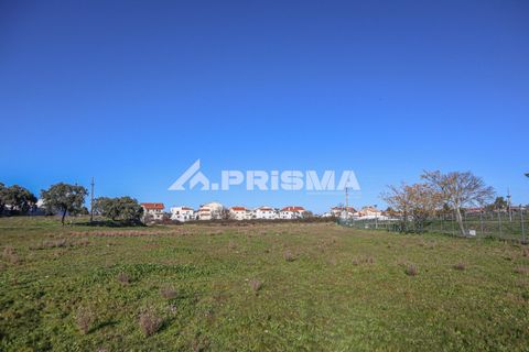 Helårsgrund i Castelo Branco, Castelo Branco, Castelo Branco - € 165.000 | Ref: PP4286 - foto 1