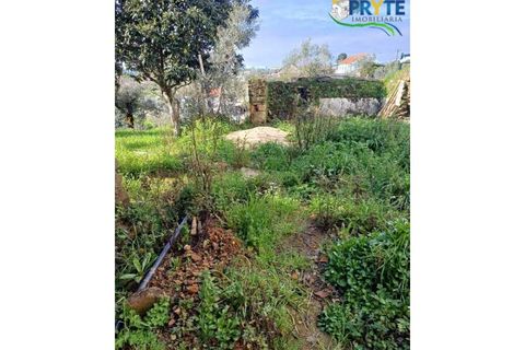 Helårsgrund i Serta, Castelo Branco, Serta - € 47.000 | Ref: AA289 - foto 7