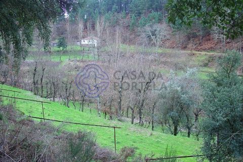 Helårsgrund i Amarante, Porto, Amarante - € 225.000 | Ref: 176391 - foto 4