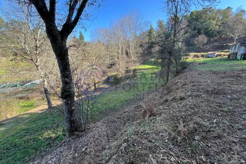 Helårsgrund i Amarante, Porto, Amarante - € 225.000 | Ref: 176391 - foto 5