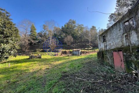 Helårsgrund i Amarante, Porto, Amarante - € 225.000 | Ref: 176391 - foto 6