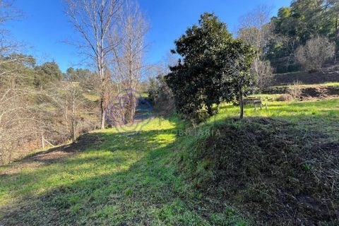 Helårsgrund i Amarante, Porto, Amarante - € 225.000 | Ref: 176391 - foto 7
