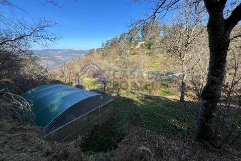 Helårsgrund i Amarante, Porto, Amarante - € 225.000 | Ref: 176391 - foto 12