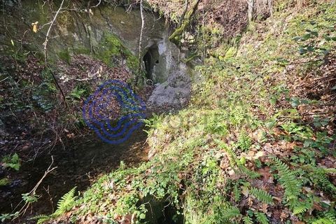 Helårsgrund i Amarante, Porto, Amarante - € 225.000 | Ref: 176391 - foto 14