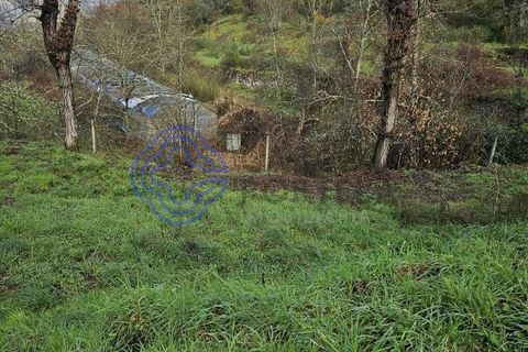 Helårsgrund i Amarante, Porto, Amarante - € 225.000 | Ref: 176391 - foto 22