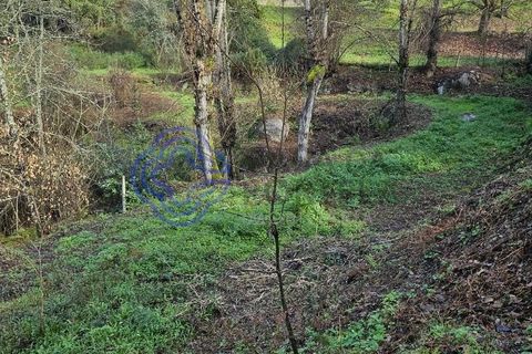 Helårsgrund i Amarante, Porto, Amarante - € 225.000 | Ref: 176391 - foto 23