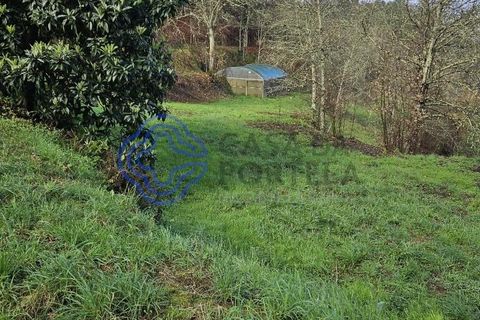 Helårsgrund i Amarante, Porto, Amarante - € 225.000 | Ref: 176391 - foto 24