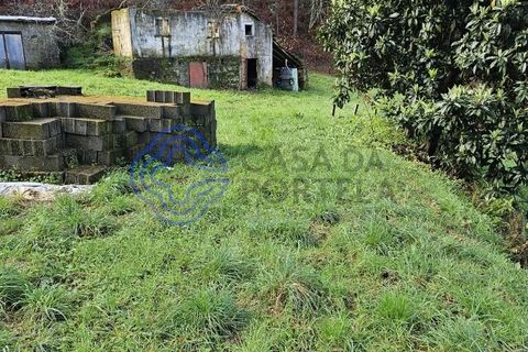 Helårsgrund i Amarante, Porto, Amarante - € 225.000 | Ref: 176391 - foto 25