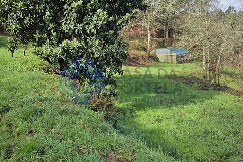 Helårsgrund i Amarante, Porto, Amarante - € 225.000 | Ref: 176391 - foto 26