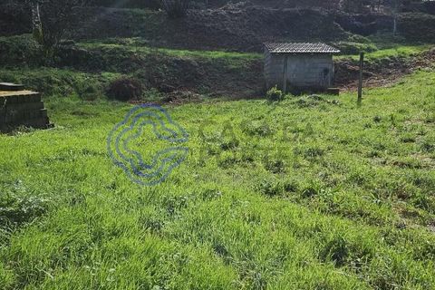 Helårsgrund i Amarante, Porto, Amarante - € 225.000 | Ref: 176391 - foto 27