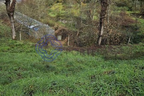 Helårsgrund i Amarante, Porto, Amarante - € 225.000 | Ref: 176391 - foto 29