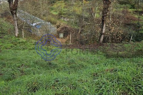 Helårsgrund i Amarante, Porto, Amarante - € 225.000 | Ref: 176391 - foto 30