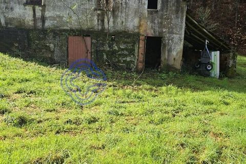 Helårsgrund i Amarante, Porto, Amarante - € 225.000 | Ref: 176391 - foto 33