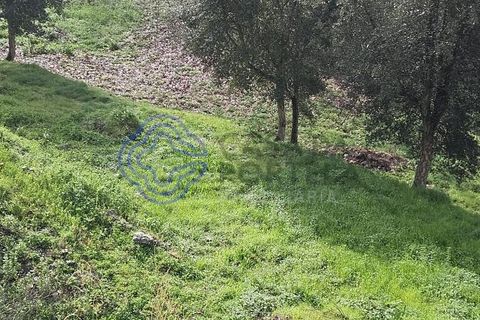 Helårsgrund i Amarante, Porto, Amarante - € 225.000 | Ref: 176391 - foto 34
