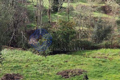 Helårsgrund i Amarante, Porto, Amarante - € 225.000 | Ref: 176391 - foto 35