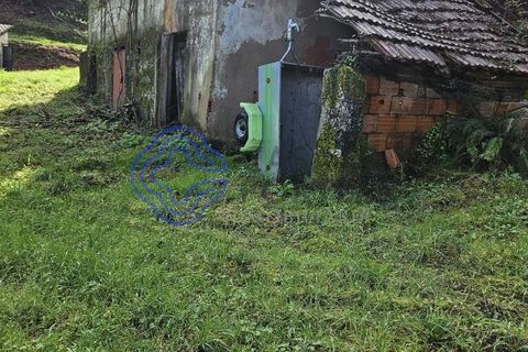 Helårsgrund i Amarante, Porto, Amarante - € 225.000 | Ref: 176391 - foto 36