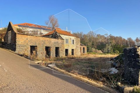 Landejendom i Calheta, Madeira, Calheta - € 160.000 | Ref: CAS_273 - foto 3