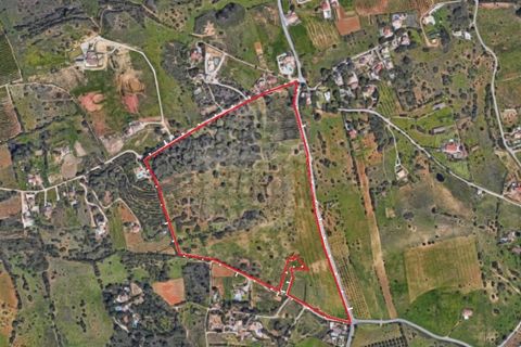 Farm i Lagoa, Faro, Lagoa - € 2.800.000 | Ref: QUI-2766 - foto 31