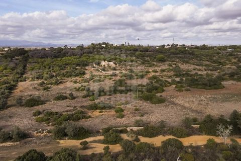 Farm i Lagoa, Faro, Lagoa - € 2.800.000 | Ref: QUI-2766 - foto 2