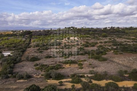 Farm i Lagoa, Faro, Lagoa - € 2.800.000 | Ref: QUI-2766 - foto 3