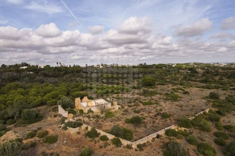 Farm i Lagoa, Faro, Lagoa - € 2.800.000 | Ref: QUI-2766 - foto 4