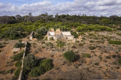 Farm i Lagoa, Faro, Lagoa - € 2.800.000 | Ref: QUI-2766 - foto 5