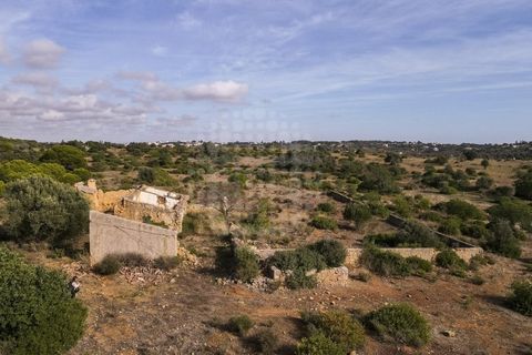 Farm i Lagoa, Faro, Lagoa - € 2.800.000 | Ref: QUI-2766 - foto 6