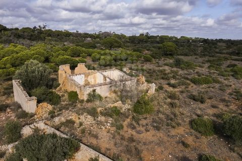 Farm i Lagoa, Faro, Lagoa - € 2.800.000 | Ref: QUI-2766 - foto 7