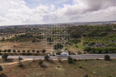 Farm i Lagoa, Faro, Lagoa - € 2.800.000 | Ref: QUI-2766 - foto 8