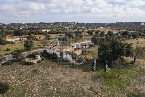 Farm i Lagoa, Faro, Lagoa - € 2.800.000 | Ref: QUI-2766 - foto 10