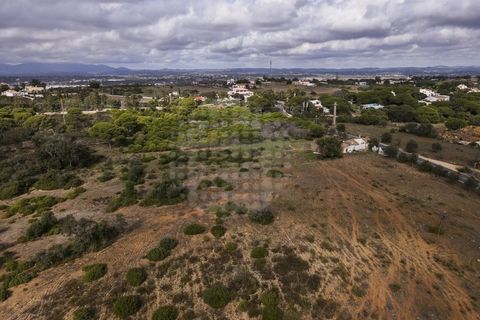 Farm i Lagoa, Faro, Lagoa - € 2.800.000 | Ref: QUI-2766 - foto 11