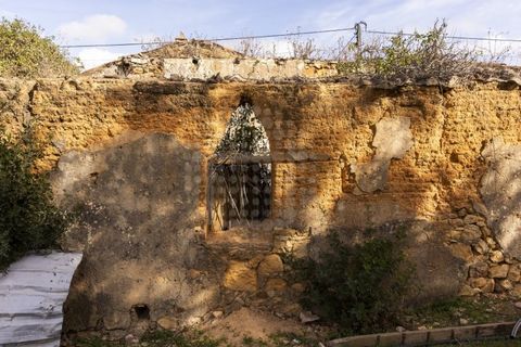 Farm i Lagoa, Faro, Lagoa - € 2.800.000 | Ref: QUI-2766 - foto 13