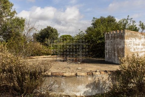 Farm i Lagoa, Faro, Lagoa - € 2.800.000 | Ref: QUI-2766 - foto 14