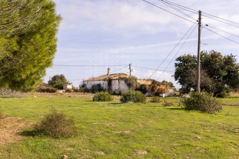 Farm i Lagoa, Faro, Lagoa - € 2.800.000 | Ref: QUI-2766 - foto 15