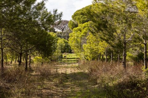 Farm i Lagoa, Faro, Lagoa - € 2.800.000 | Ref: QUI-2766 - foto 16